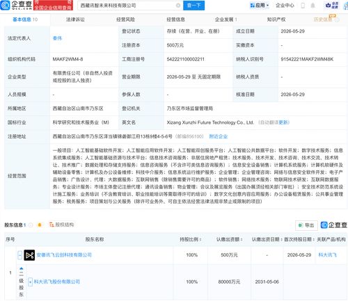 科大訊飛在西藏布局 新公司含多項AI業(yè)務(wù)，人工智能應(yīng)用迎來區(qū)域新范例